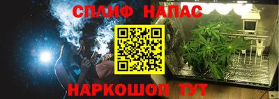 прущие крисы Бийск