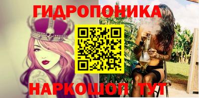 прущие крисы Бийск